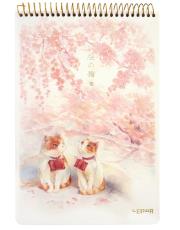 Opakowanie Kołoszkicownik B5/48K Koty