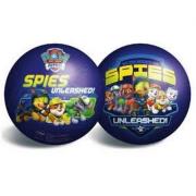 Opakowanie Piłka Psi Patrol niebieska 23 cm TREFL