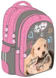 Opakowanie Plecak szkolny BP-58 My little frienc Kot i pies