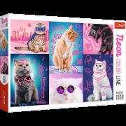 Opakowanie Puzzle 1000 Neon Color Line - Super cats TREFL