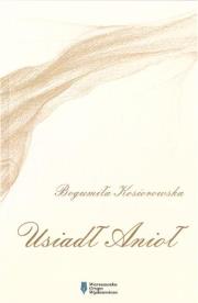 Okładka książki Usiadł Anioł