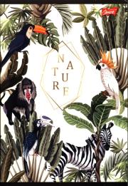 Opakowanie Zeszyt A5 w kratkę 60 kartek Nature 10 sztuk