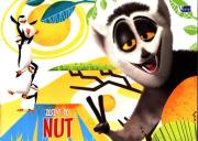 Zeszyt do nut Madagaskar. Wydawca: VERTE. Dadada.pl Opakowanie Zeszyt do nut Madagaskar