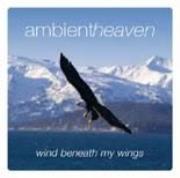Ambient heaven Wind beneath my wings. Autor: Opracowanie zbiorowe. Dadada.pl Okładka książki Ambient heaven Wind beneath my wings