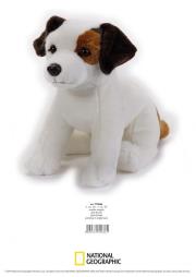 Opakowanie Jack Russell Maskotka