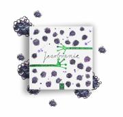 Okładka książki Jeżobranie