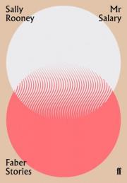 Mr Salary. Autor: Rooney Sally. Dadada.pl Okładka książki Mr Salary