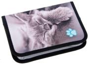 Opakowanie Piórnik bez wyposażenia 2kl Kitty