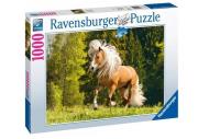 Opakowanie Puzzle 1000 Radosny Koń