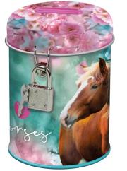 Opakowanie Skarbonka z kłódką Konie 19 DERFORM