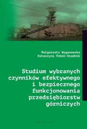 Okładka książki Studium wybranych czynników efektywnego i bezpiecznego funkcjonowania przedsiębiorstw górniczych