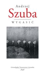 Wygasić. Autor: Kaszuba Andrzej. Dadada.pl Okładka książki Wygasić