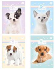 Opakowanie Zeszyt gładki Interdruk A5 32 kartki