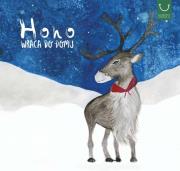 Okładka książki Hoho wraca do domu