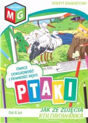 Okładka książki Jak ze zdjęcia - Ptaki