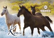 Okładka książki KAL.KONIE 2014 TW-10-06-PRMI