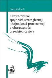 Okładka książki Kształtowanie spójności strategicznej i dojrzałości procesowej a oburęczność przedsiębiorstwa