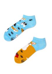 Many Mornings Skarpetki stopki Playful Dog. Producent: Many Mornings. Dadada.pl Zdjęcie produktu Many Mornings Skarpetki stopki Playful Dog