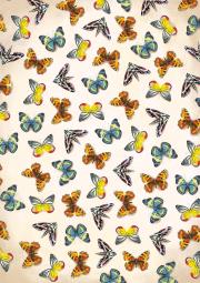 Okładka książki Notatnik Motyle