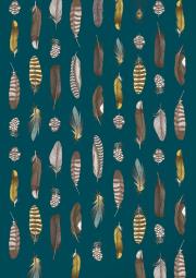 Okładka książki Notatnik Ptaki