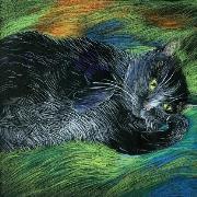 Opakowanie Notes. Kot zamyślony