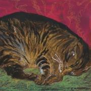 Opakowanie Notes. Śpiący kot