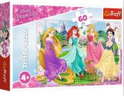 Opakowanie Puzzle 60 Ulubione księżniczki Disney Princess