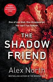 The Shadow Friend. Autor: ALEX NORTH. Dadada.pl Okładka książki The Shadow Friend