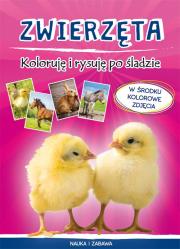 Okładka książki Zwierzęta Koloruję i rysuję po śladzie