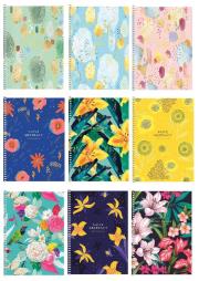 Opakowanie Kołozeszyt A5/96K kratka Secret Garden ASTRA