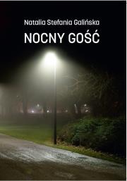 Okładka książki Nocny Gość