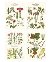 Opakowanie Notes A5/64K gładki Sketch&note Herbarium ASTRA