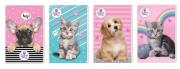 Opakowanie Notes A6/30K z poddrukiem The Sweet Pets (12szt)