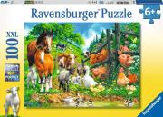 Opakowanie Puzzle 100 Zwierzęta razem