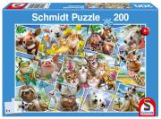 Opakowanie Puzzle 200 Zwierzątka robią selfie G3