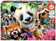 Opakowanie Puzzle 300 Czarnoocy przyjaciele G3