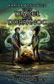 Okładka książki Droga wiedzie przez sen. Gdzie Diabeł mówi dobranoc. Tom 3