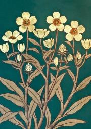 Opakowanie Karnet ST352 B6 + koperta Jaskier rozłogowy