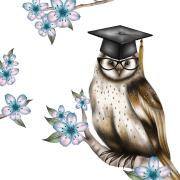 Opakowanie Karnet Swarovski kwadrat CL0309_BL Sowa