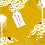 Opakowanie Karnet Swarovski kwadrat CL3401 Szczęścia i powodz