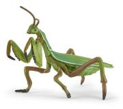 Opakowanie Modliszka