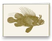 Opakowanie Notatnik ozdobny A5 BR NB S30 A ROSSI