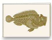 Notatnik ozdobny A5 BR NB S31 A ROSSI. Wydawca: Rossi. Dadada.pl Opakowanie Notatnik ozdobny A5 BR NB S31 A ROSSI