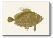 Opakowanie Notes ozdobny A5 BR NP S28 C ROSSI