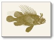 Opakowanie Notes ozdobny A5 BR NP S30 C ROSSI