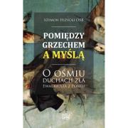Okładka książki Pomiędzy grzechem a myślą
