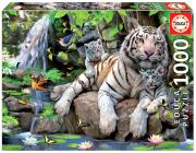 Opakowanie Puzzle 1000 Białe tygrysy bengalskie G3