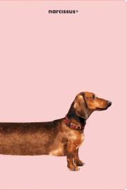 Opakowanie Teczka A4 Overgrown