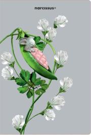 Opakowanie Teczka A4 Pea Pods