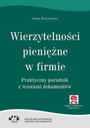 Okładka książki Wierzytelności pieniężne w firmie